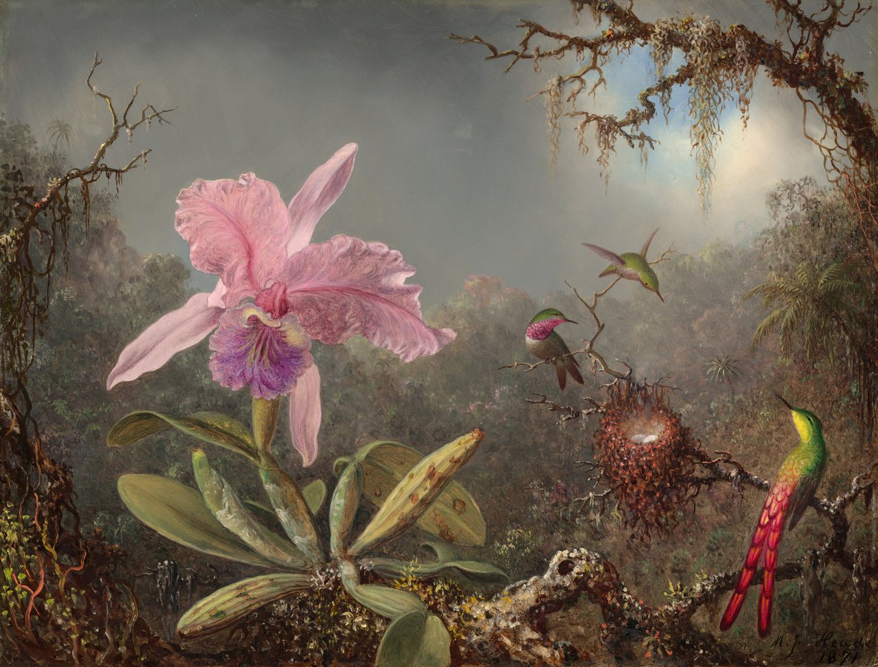 Cattleya-orkidea ja kolme hummingbirdiä tekijältä Martin Johnson Heade