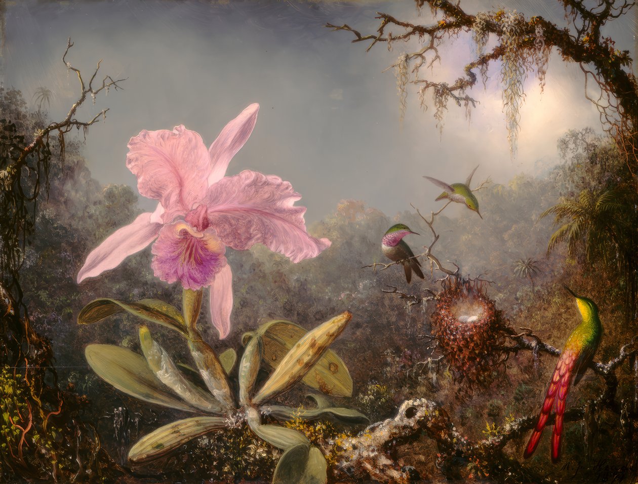 Cattleya-orkidea ja kolme hummingbirdiä tekijältä Martin Johnson Heade