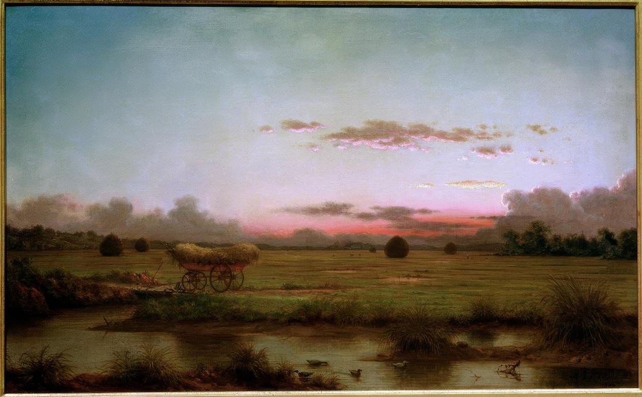 Rhode Islandin suot tekijältä Martin Johnson Heade