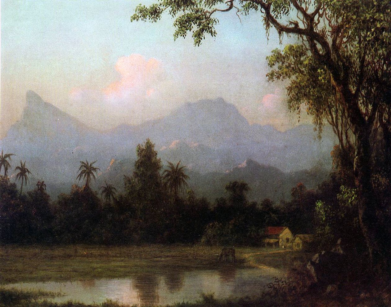 Rio de Janeiro, Brasilia, noin 1865 tekijältä Martin Johnson Heade
