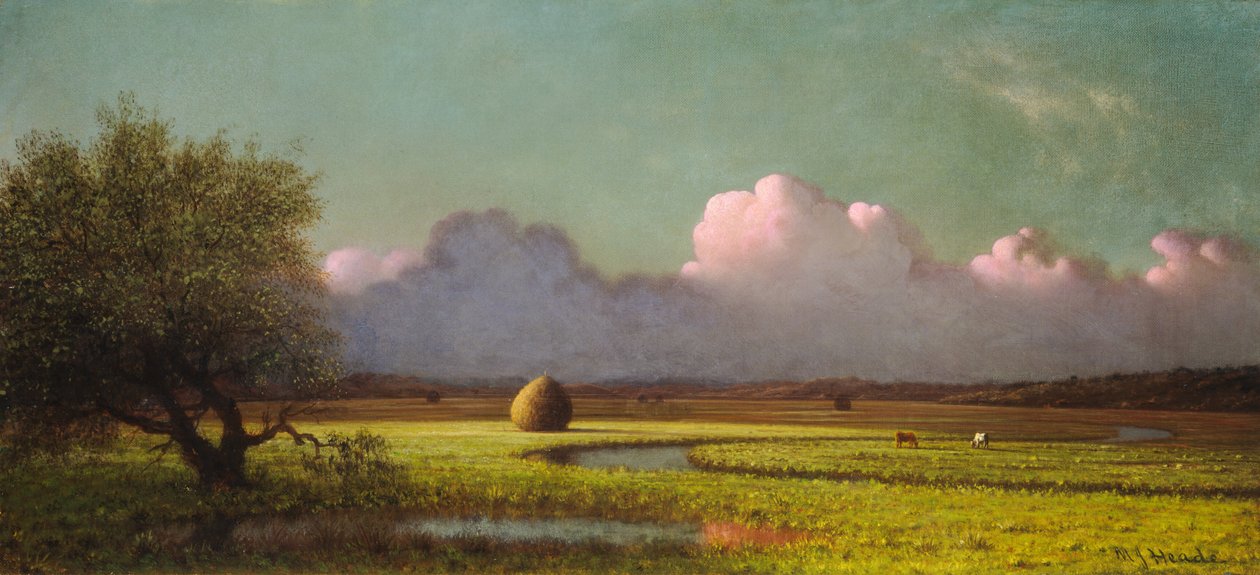 Auringonvalo ja varjo: Newburyn suot tekijältä Martin Johnson Heade