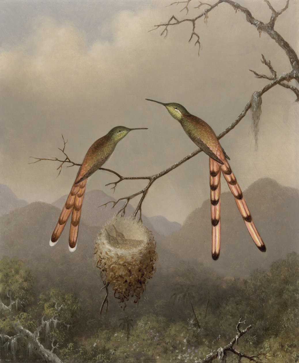 Kaksi kolibria ja niiden poikaset, noin 1865 tekijältä Martin Johnson Heade