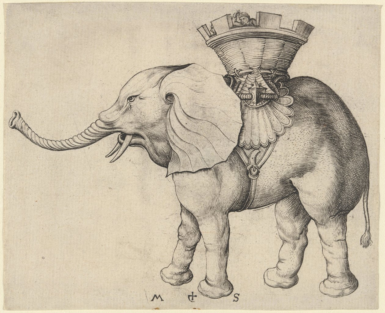 Norsu tekijältä Martin Schongauer