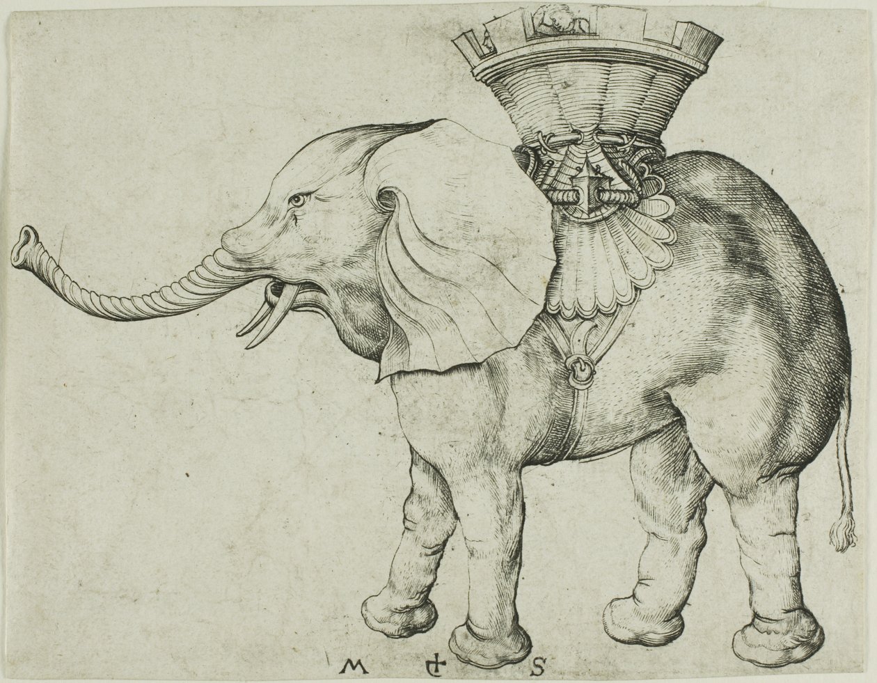 Elefantti tekijältä Martin Schongauer