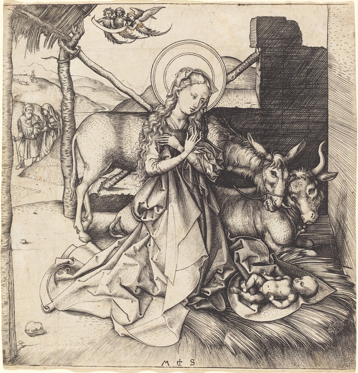Syntymä tekijältä Martin Schongauer