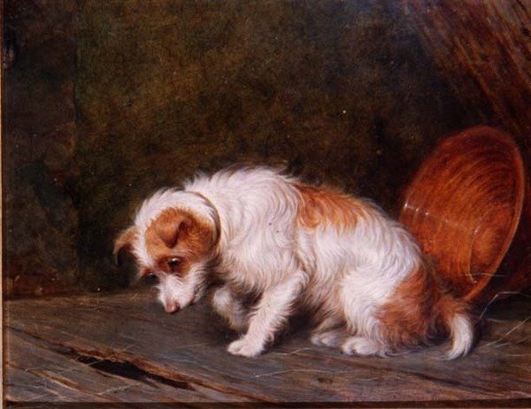Odottaa (lauta) tekijältä Martin Theodore Ward
