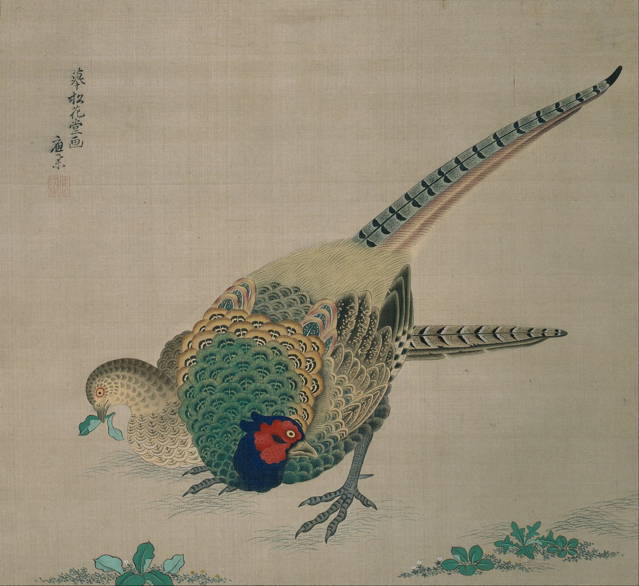 Hanging Scroll (fasaanien pari) tekijältä Maruyama Okyo