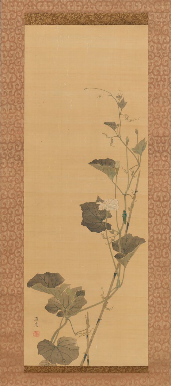 Calabash Flowers and Beetle, 1800-luvun alku. tekijältä Maruyama Ôshin