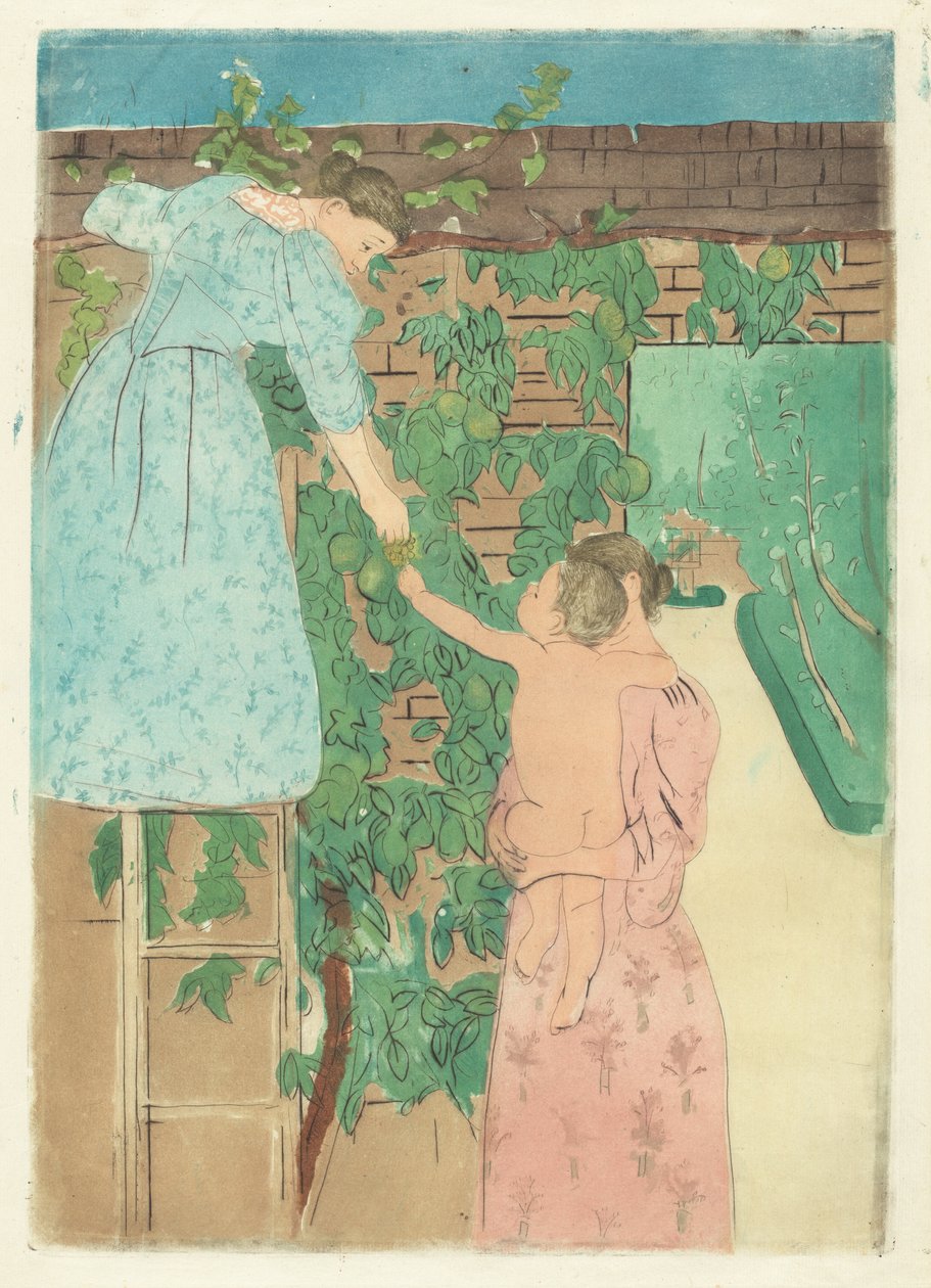 Hedelmien kerääminen, c. 1893. tekijältä Mary Cassatt