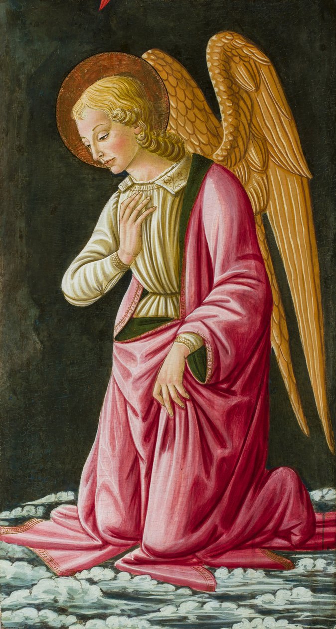 Kneeling Angel, n. 1480 (öljy) tekijältä Master of Johnson Nativity or Tabernacle