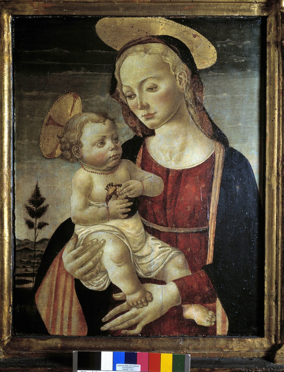 Tuntematon kuva tekijältä Master of San Miniato