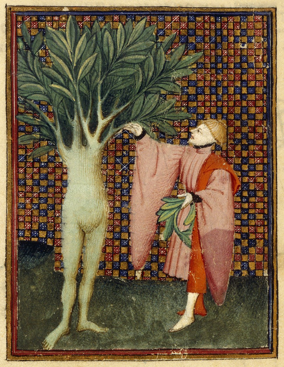 Apollo ja Daphne tekijältä Master of the Cité des Dames