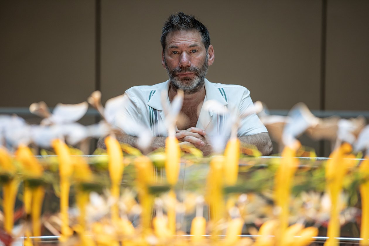 Päiväntasaus, 2021 (kuva) tekijältä Mat Collishaw