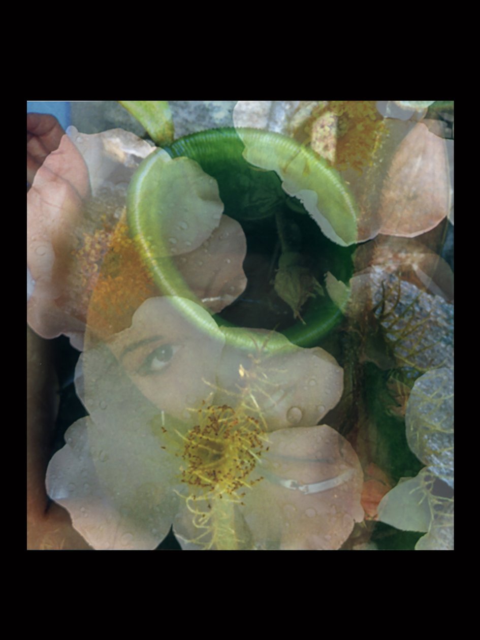 Lihanlämmittimet 2 tekijältä Mat Collishaw
