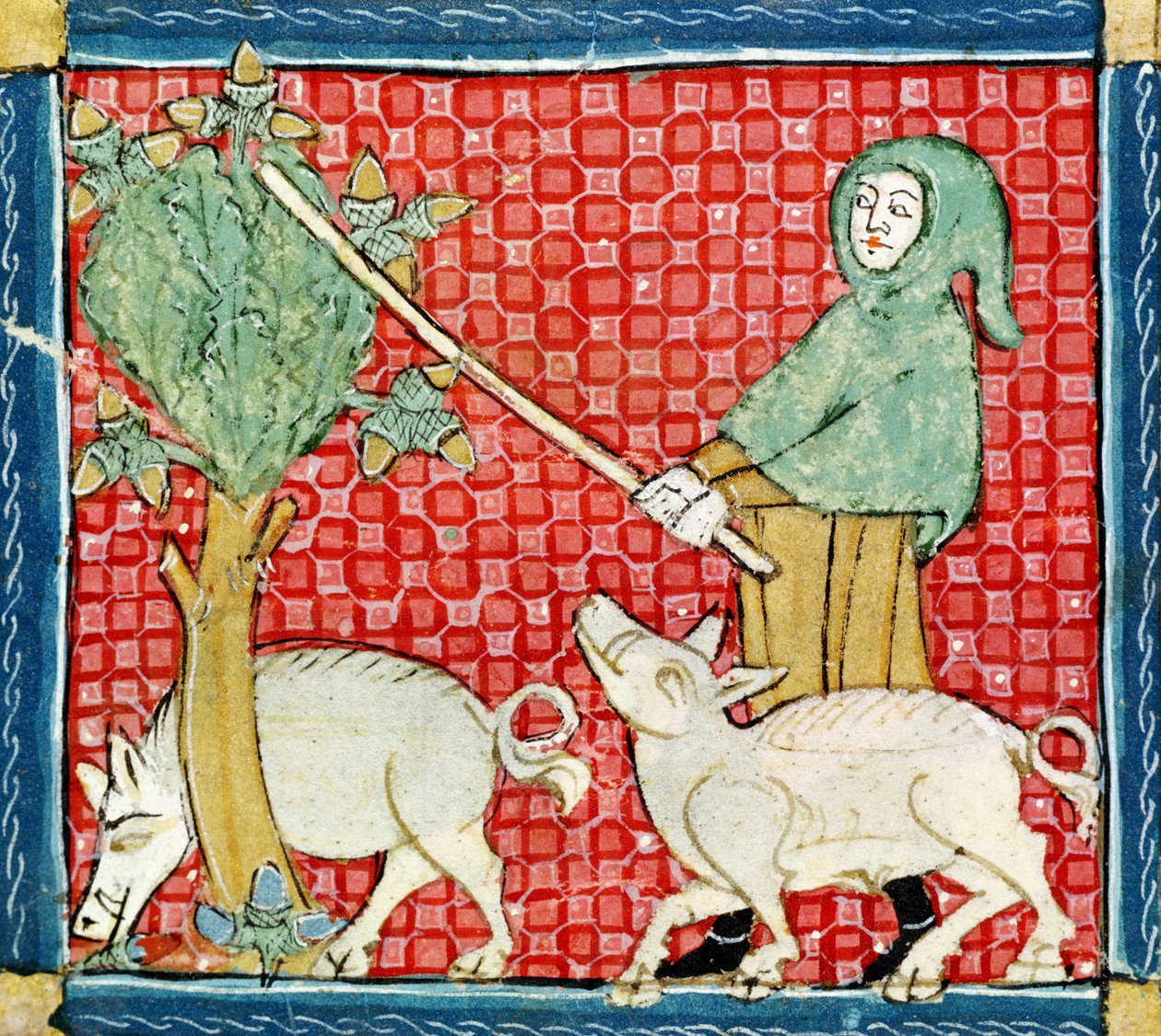 Fol.59v marraskuu: Gathering Acorns tekijältä Matfre Ermengaut
