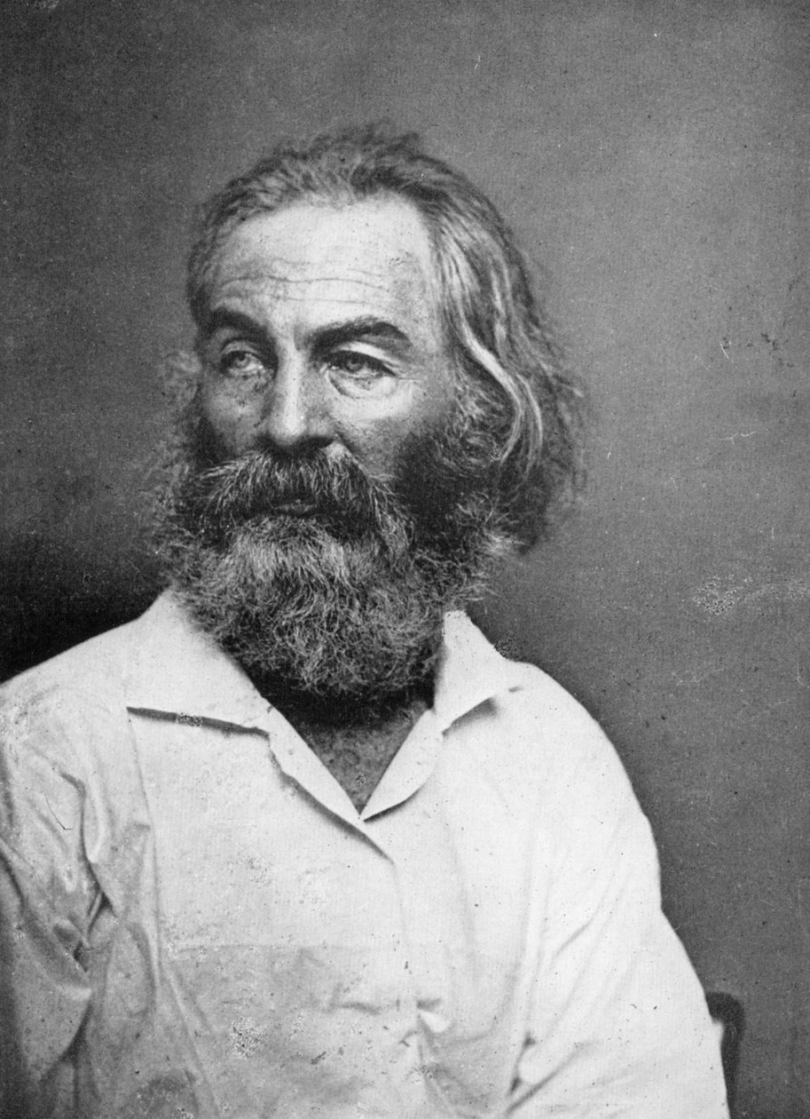 Walt Whitman 1819-1892, yhdysvaltalainen runoilija, 1880-luku tekijältä Mathew Brady