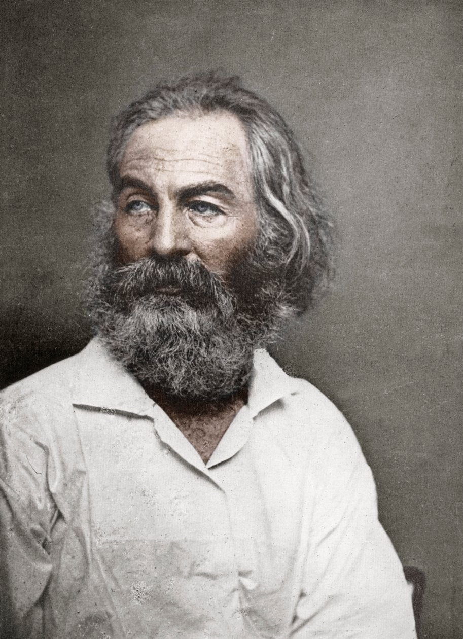 Walt Whitman, yhdysvaltalainen runoilija, 1880-luku. tekijältä Mathew B. Brady