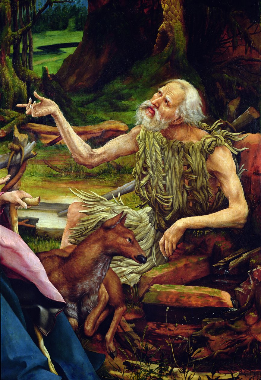 Pyhän Antoniuksen vierailu Erakko Paavalin luona. Yksityiskohta Pyhän Antoniuksen vierailusta Pyhän Paavalin luona Isenheimin alttaritaulusta, n. 1512-16 öljy puulle tekijältä Matthias Grünewald