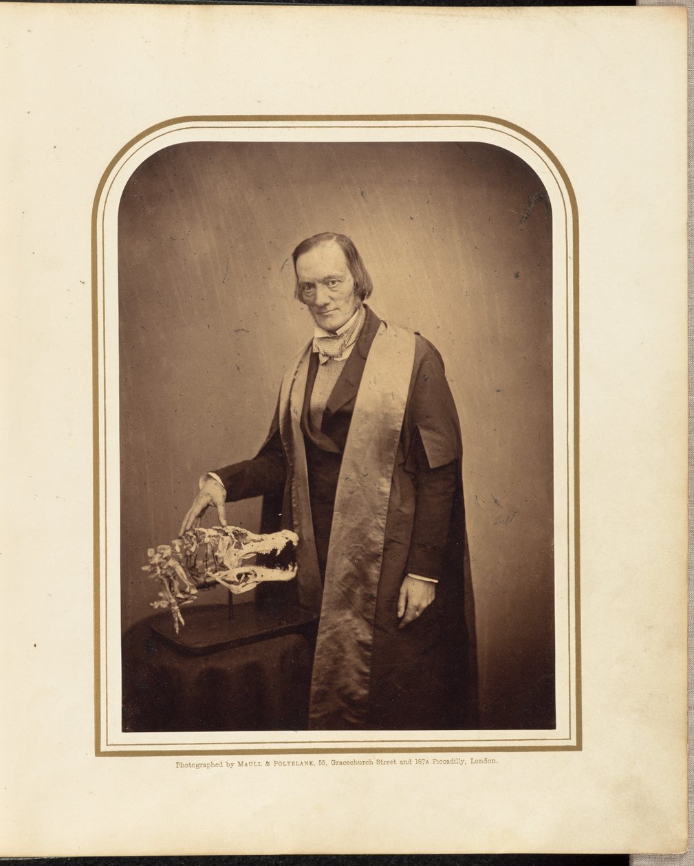 Professori Owen, F.R.S. tekijältä Maull and Polyblank