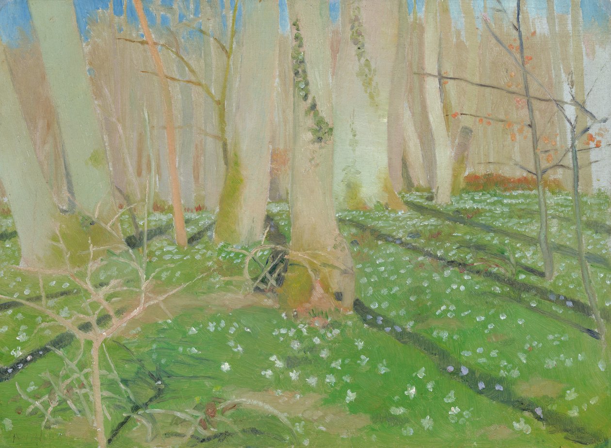 Metsä ja anemonia, 1889 (öljy kortille) tekijältä Maurice Denis