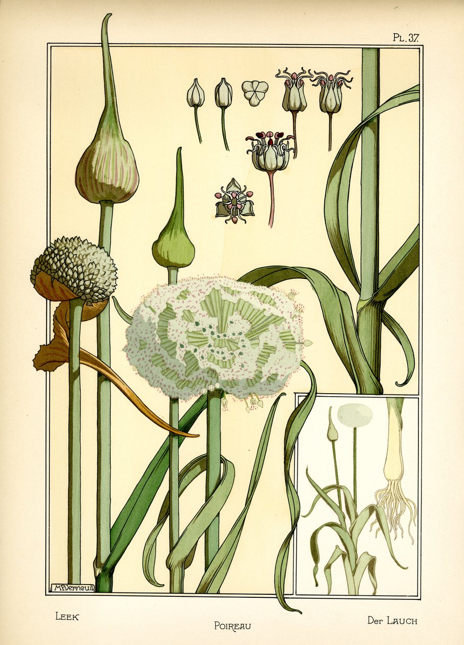 Purjo (väri litho) tekijältä Maurice Pillard Verneuil
