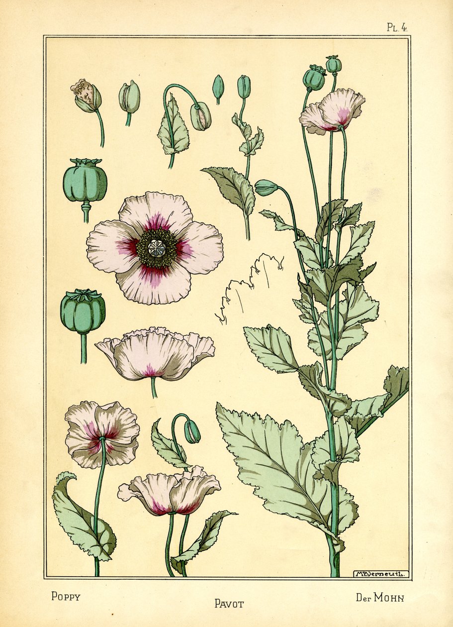 Unikko (väri litho) tekijältä Maurice Pillard Verneuil