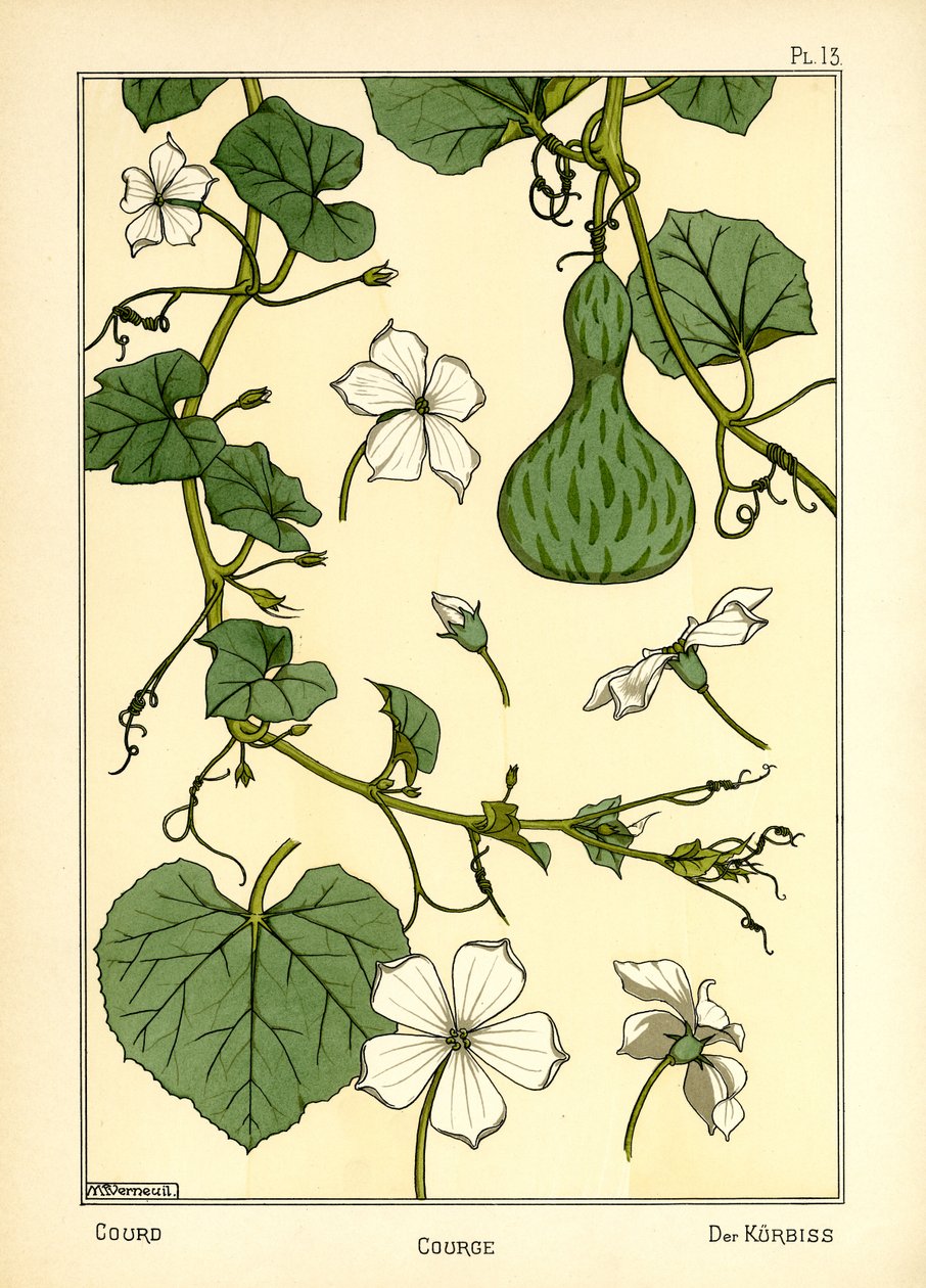 Kurpitsa (väri litho) tekijältä Maurice Pillard Verneuil