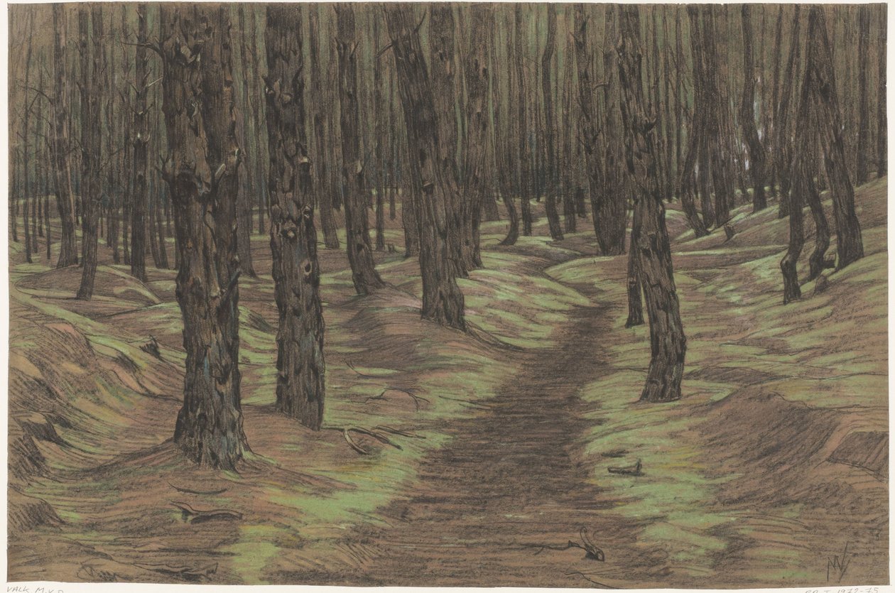 mäntymetsää tekijältä Maurits van der Valk