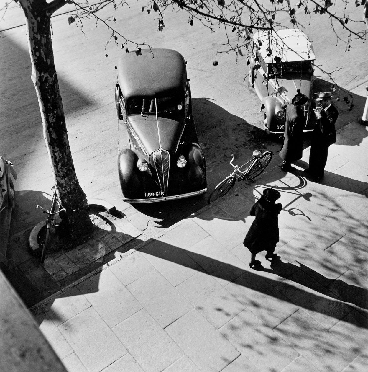 Adelaide tekijältä Max Dupain