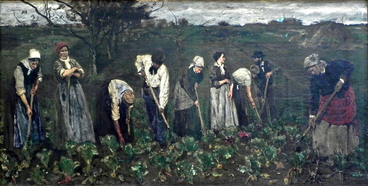 Arbeiter im Rübenfeld tekijältä Max Liebermann