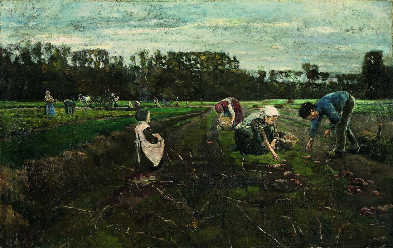 Perunan sadonkorjuu tekijältä Max Liebermann