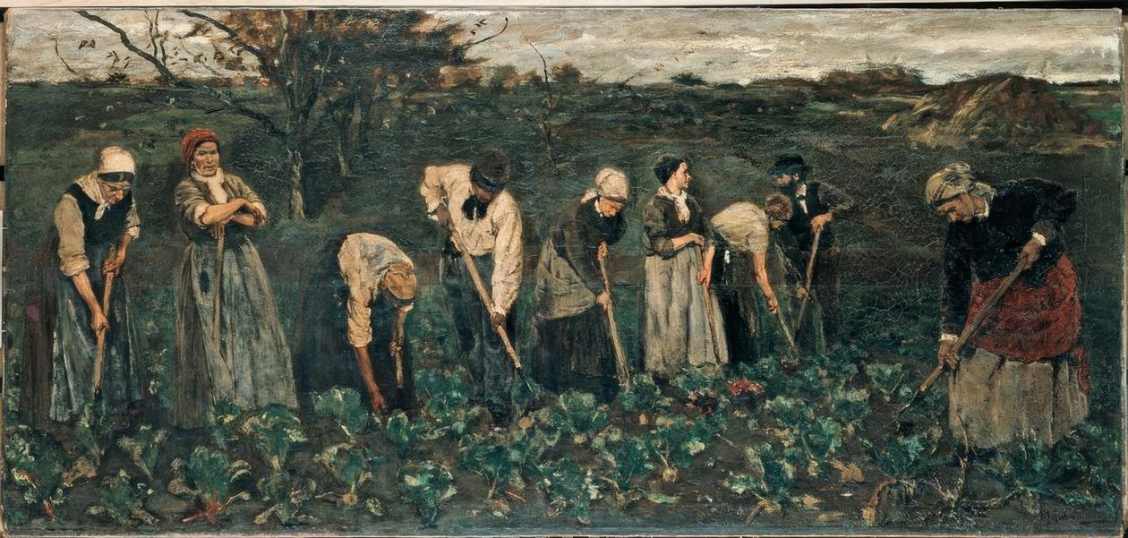 Työntekijät juurikaspellolla tekijältä Max Liebermann