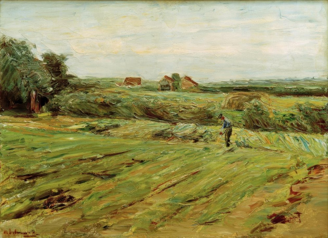 Erntefeld – Kohlfeld (?) tekijältä Max Liebermann
