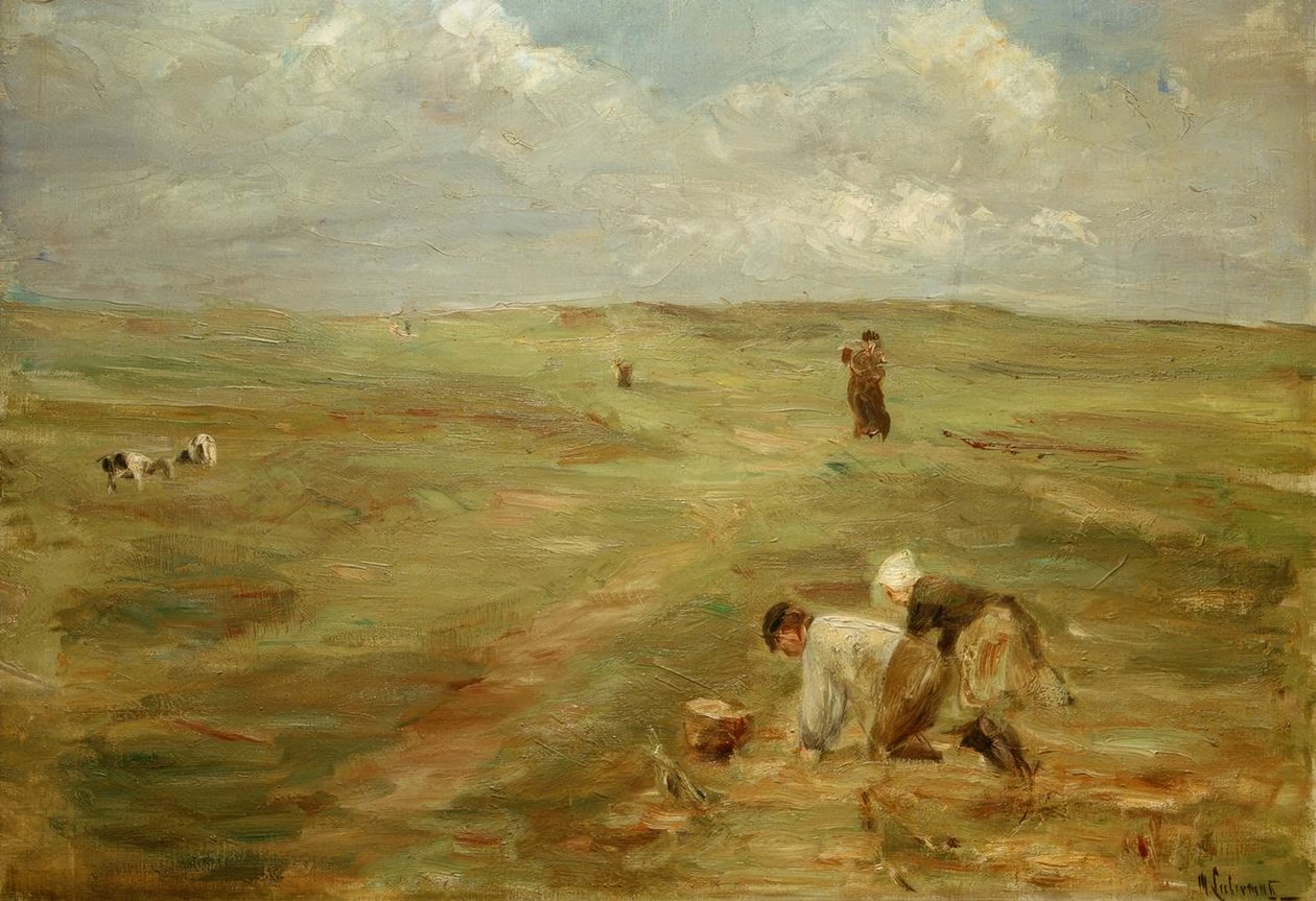Perunankaivurit Zandvoortin dyynillä tekijältä Max Liebermann
