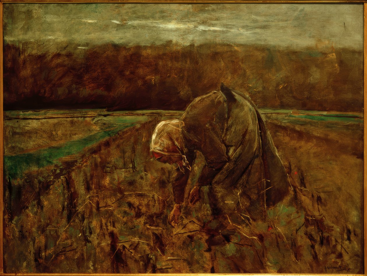 Perunan keräilijä tekijältä Max Liebermann