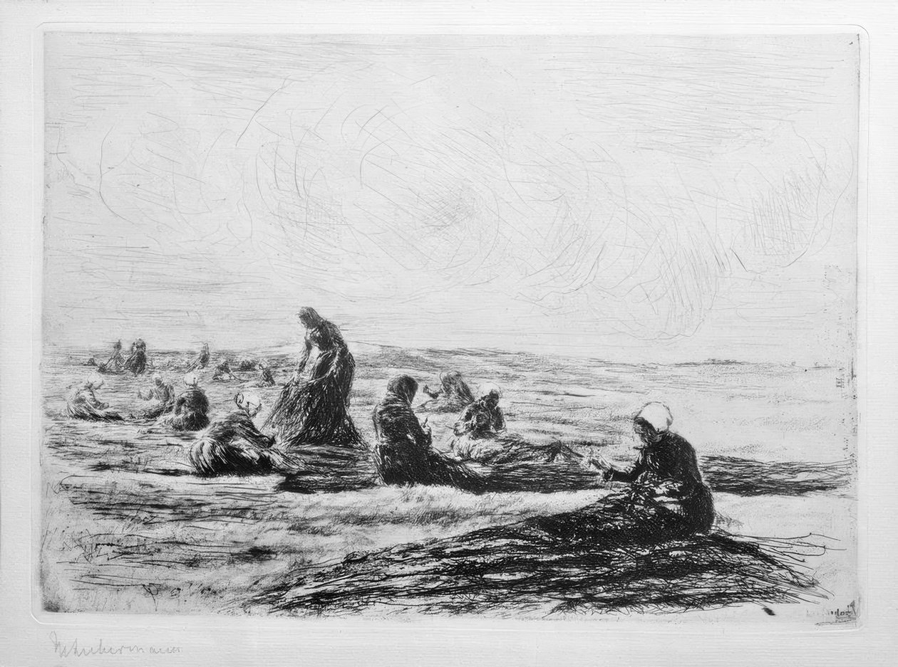 Net laastarit tekijältä Max Liebermann