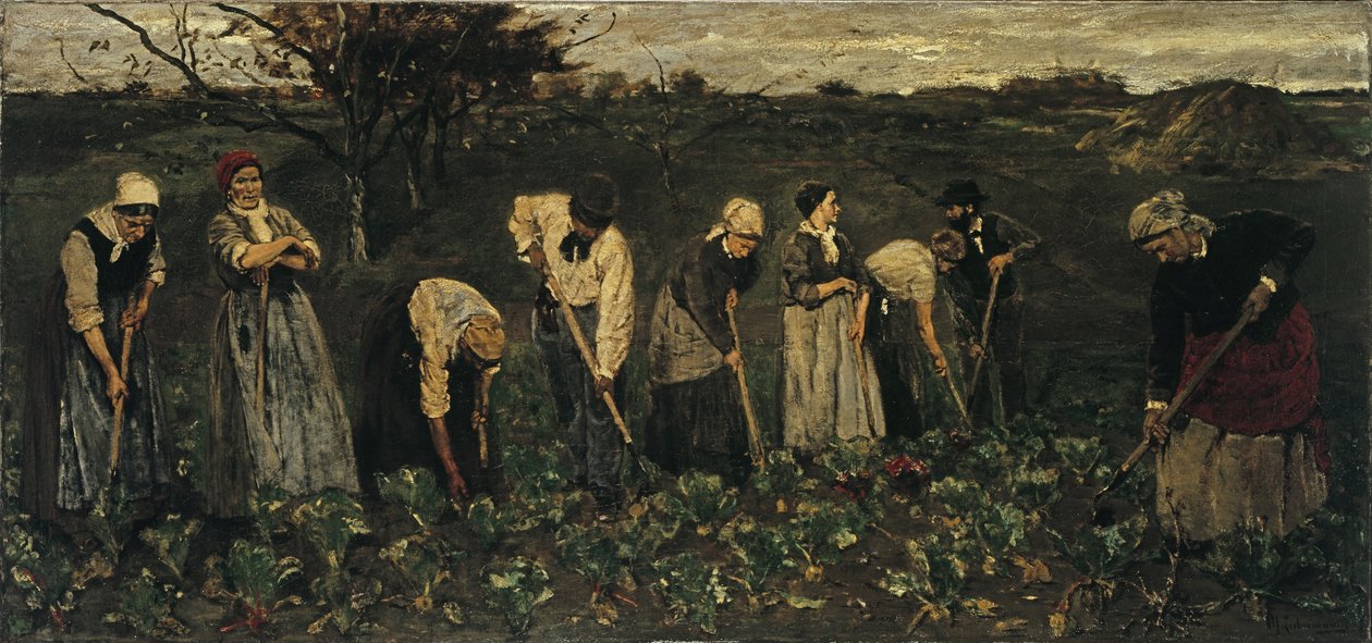 Työntekijät juurikaspellolla tekijältä Max Liebermann