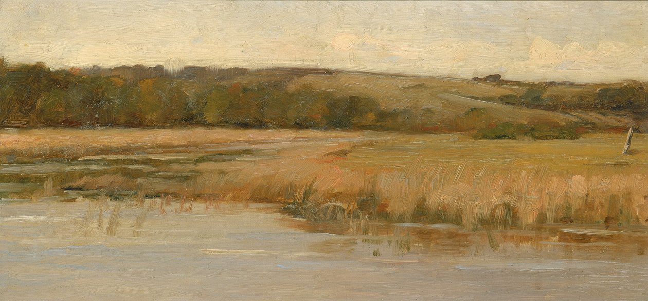 Hill and Marshland, 1800-luvun loppu - 1900-luvun alku. tekijältä Max Weyl