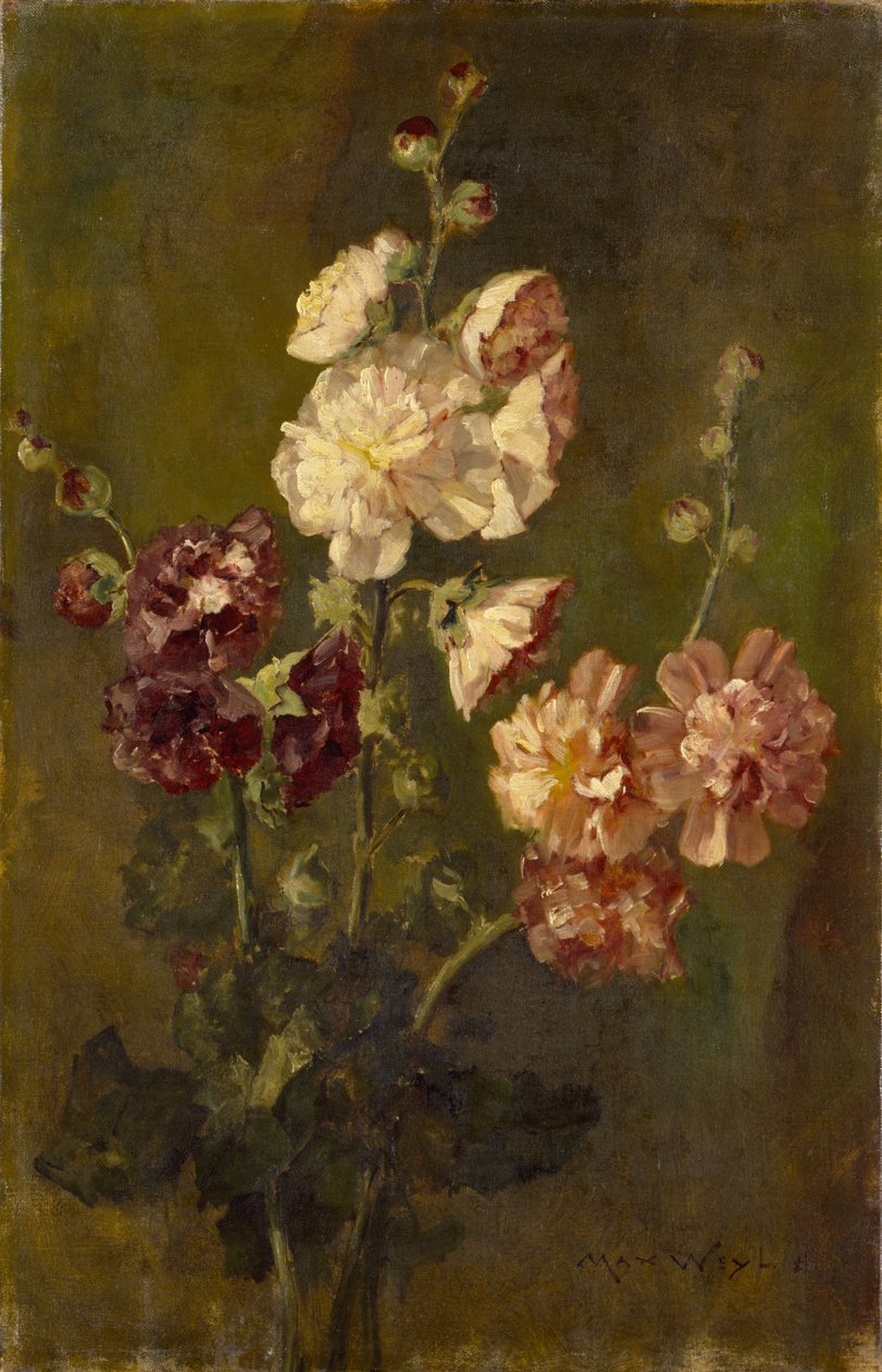 Hollyhocks tekijältä Max Weyl