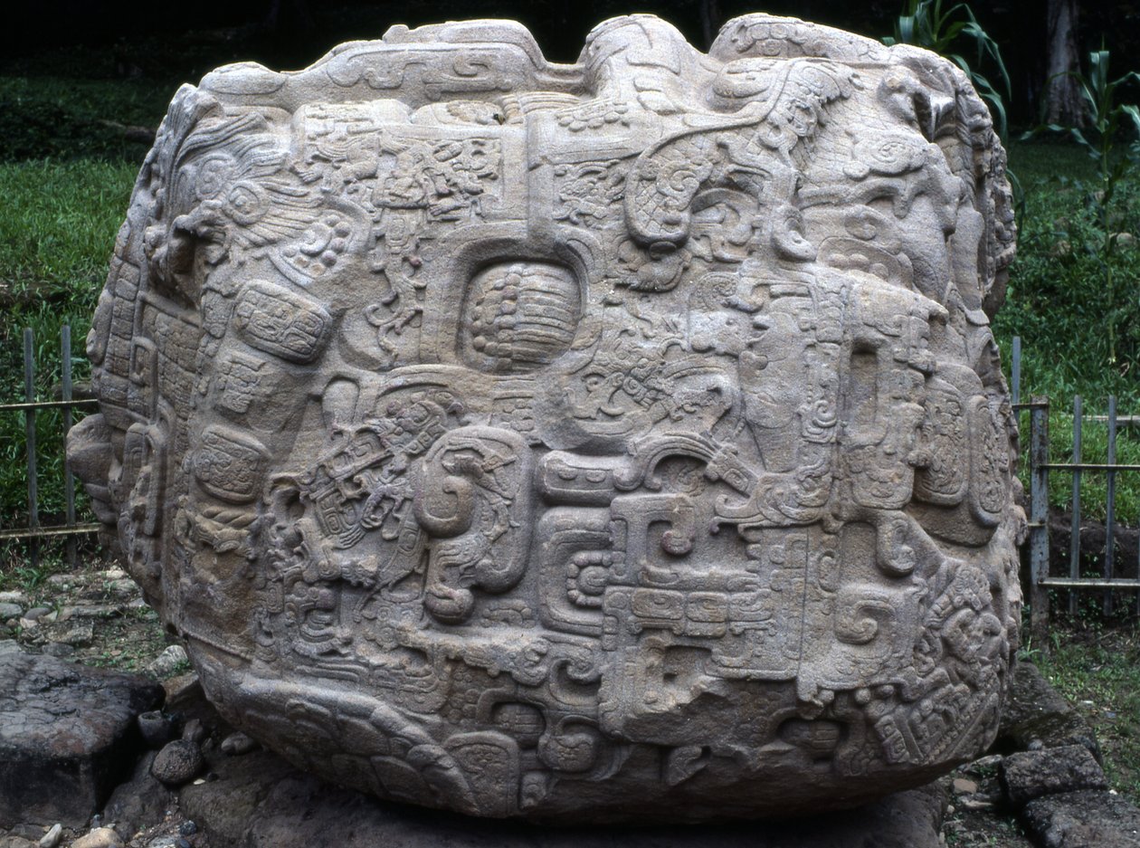 Sivukuva zoomorfisesta kivistä P, myöhäisklassikko (600-900 jKr) tekijältä Mayan