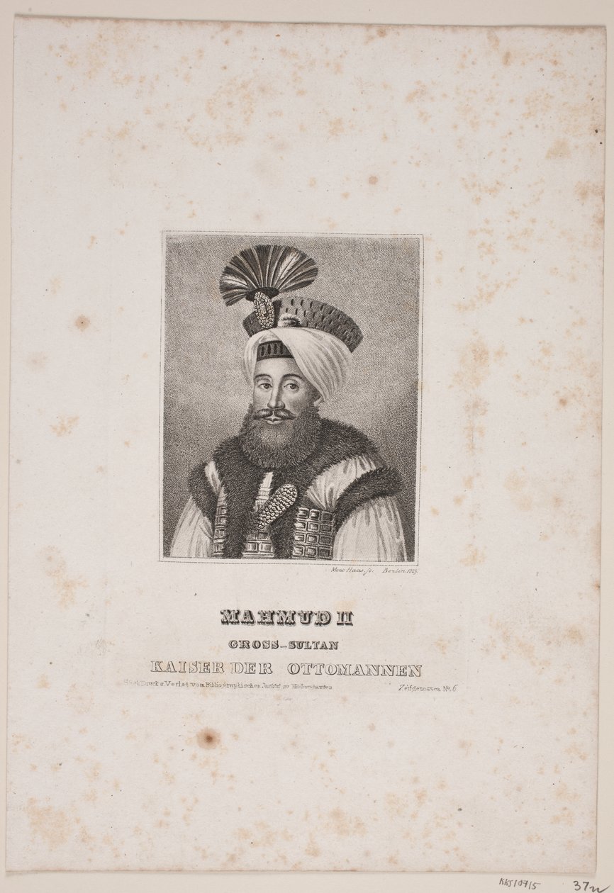 Tanskalainen:  Mahmud II tekijältä Meno Haas