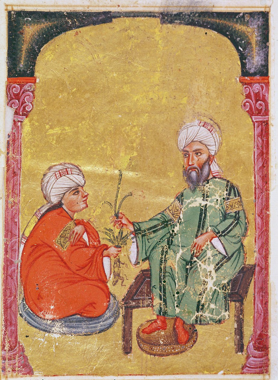 Ahmet III, 2127 Kuvitus Dioscoridesin teoksesta "De Materia Medica". tekijältä Mesopotamian