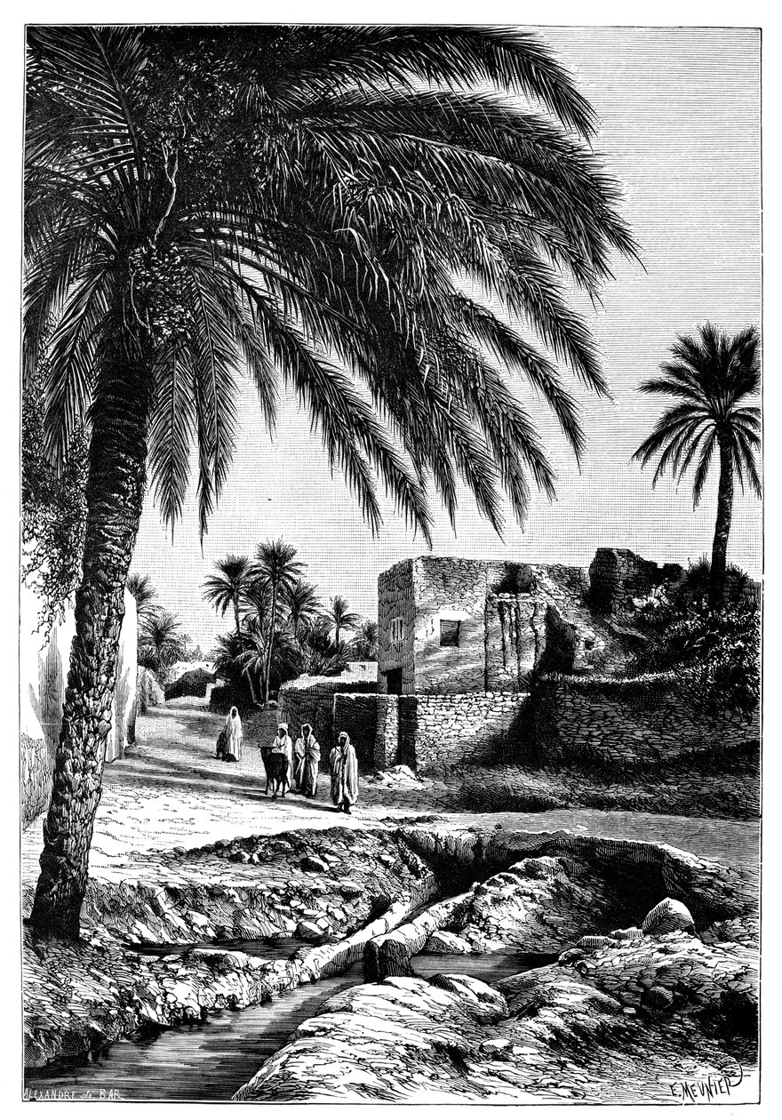 Katu Biskrassa, Algeriassa, 1895. tekijältä Meunier