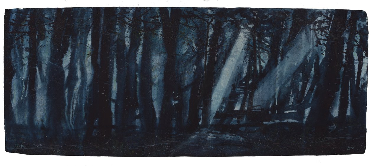 Kuutamoinen metsä tekijältä Michael Frith