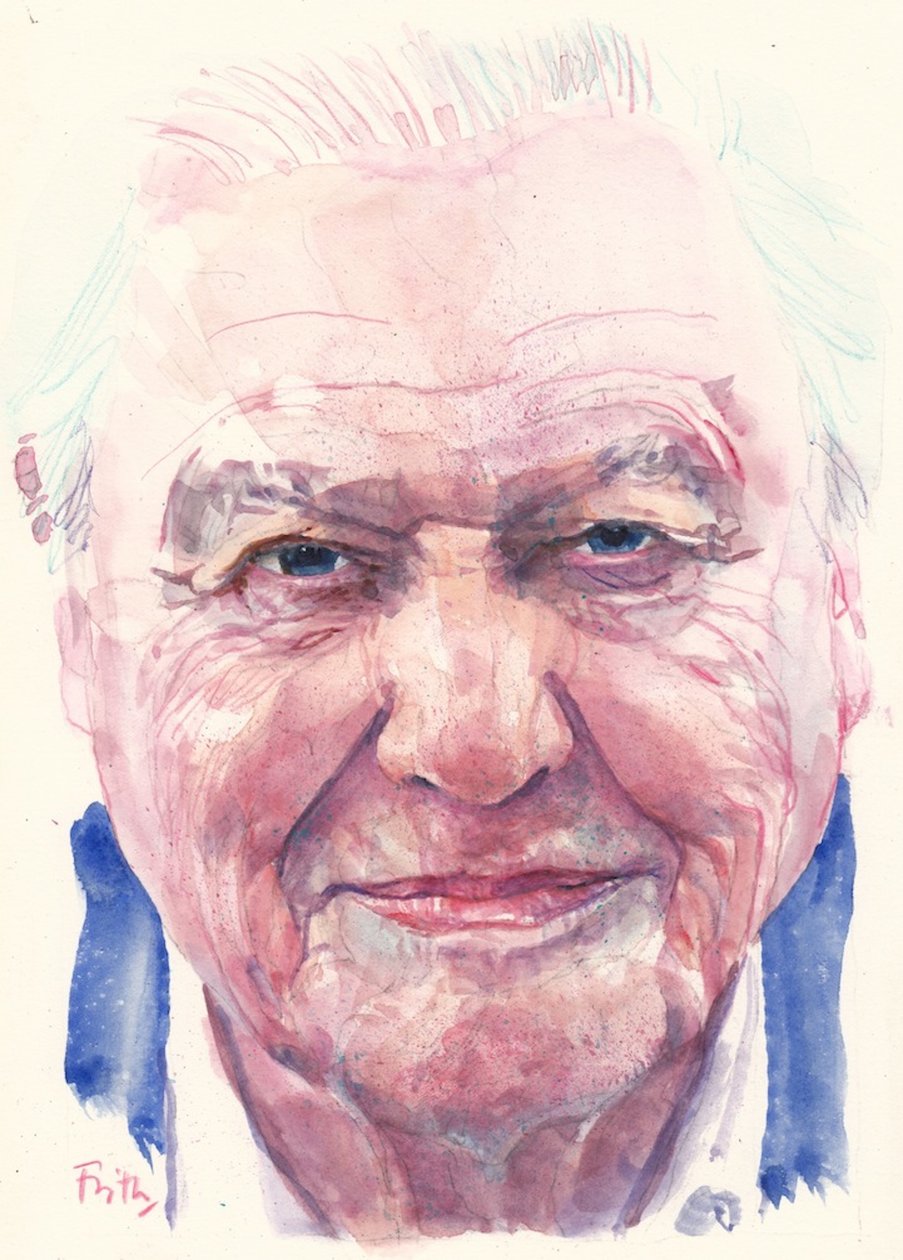 Sir David Attenborough (akvarelli) tekijältä Michael Frith