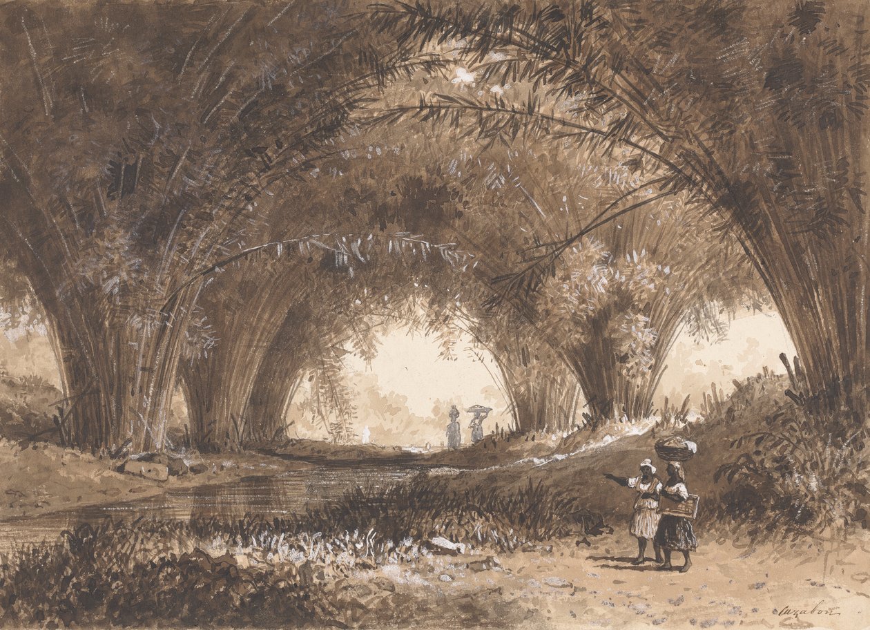 Bamboo Arches, St. Anns tekijältä Michel Jean Cazabon