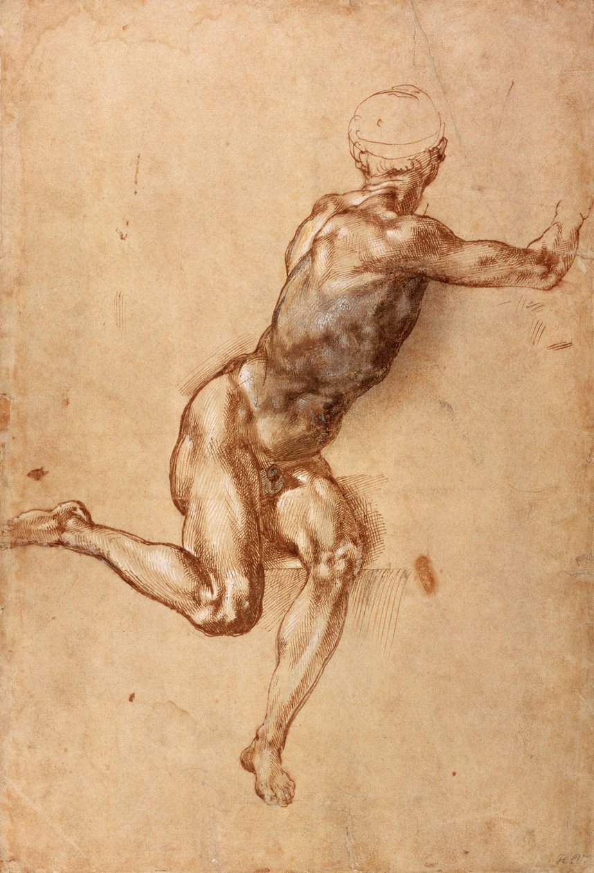 Istuva miespuolinen alaston kiertyvä, n. 1505 (kynä ja muste pesulla paperilla) tekijältä Michelangelo Buonarroti