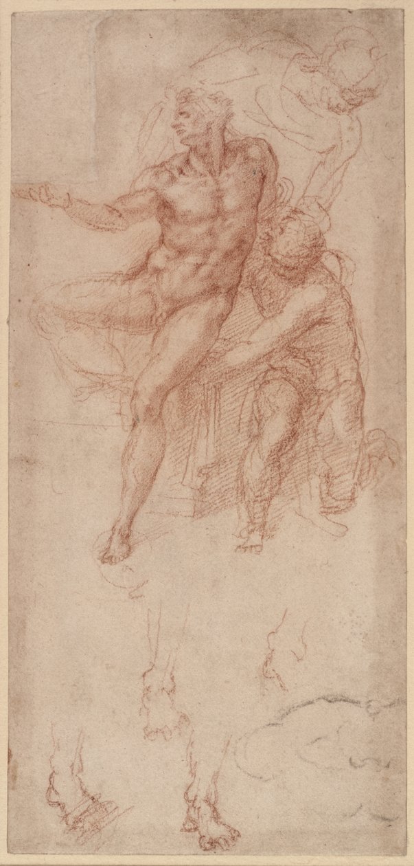 Figure Studies (punainen liitu paperille) tekijältä Michelangelo Buonarroti