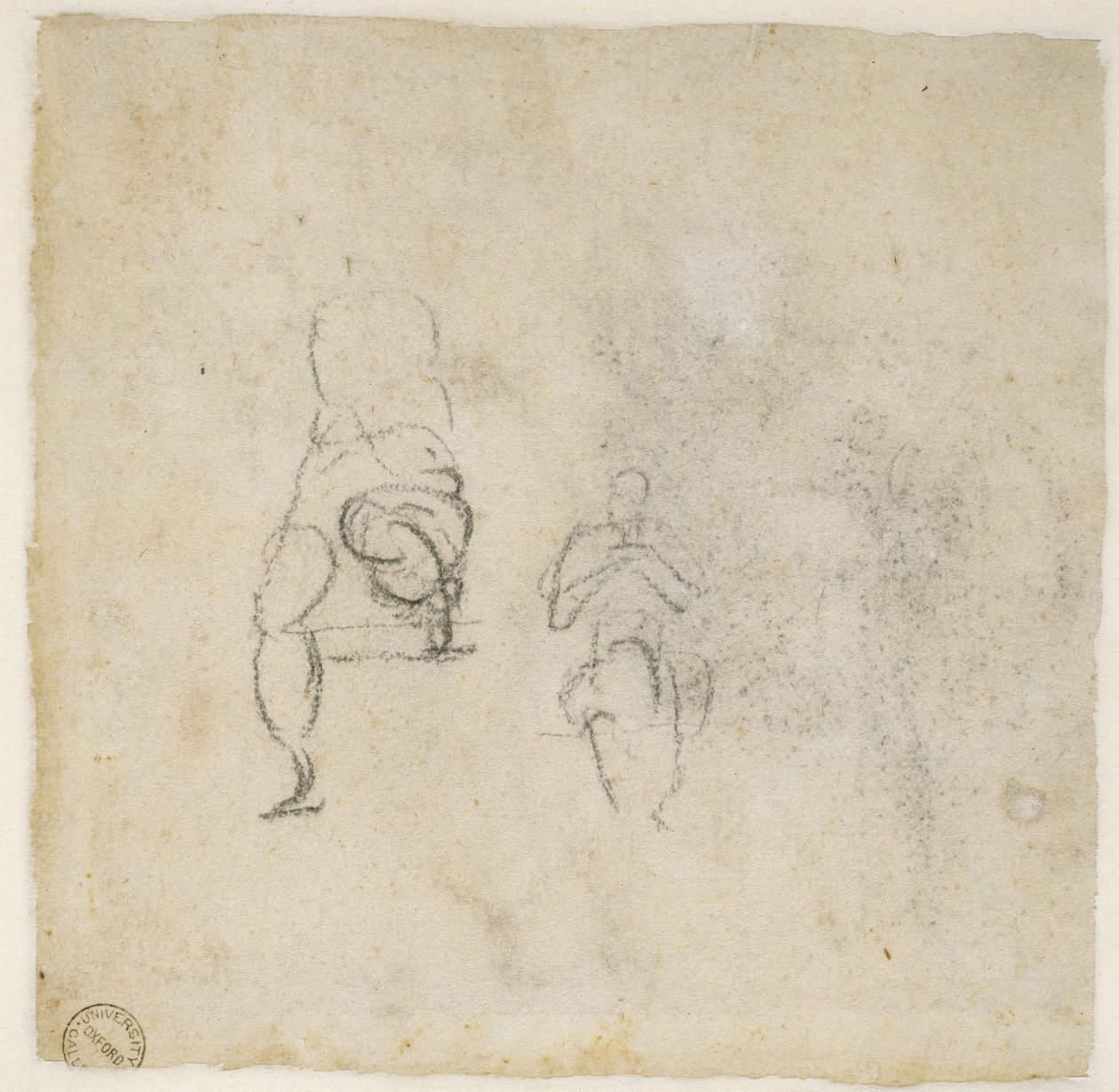 Figuuritutkimukset, n. 1511 (musta liitu paperille) tekijältä Michelangelo Buonarroti