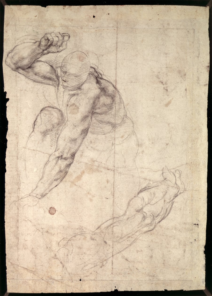 Mieshahmon tutkimus tekijältä Michelangelo Buonarroti